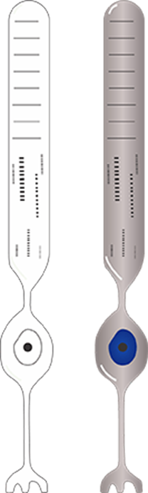 Bastonetes