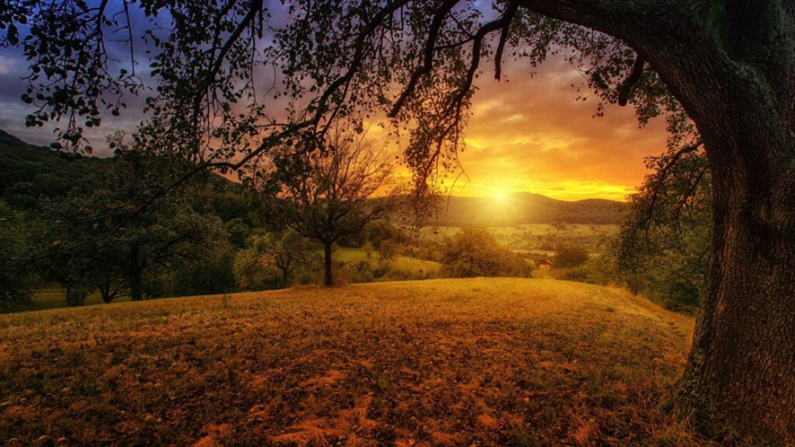 Por do Sol Plator
