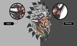 Vetor ou Bitmap